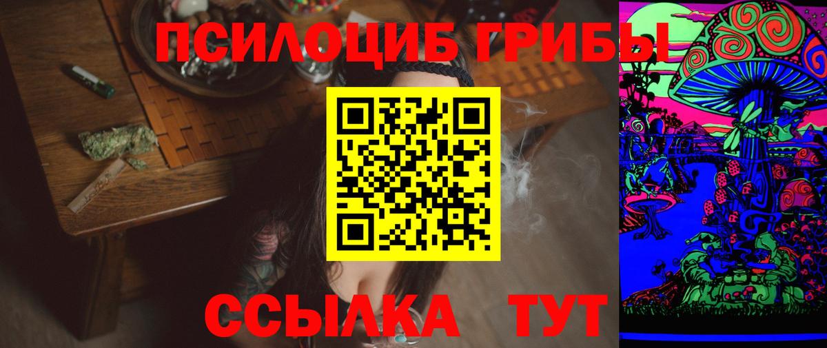 Псилоцибиновые грибы прущие грибы Белебей